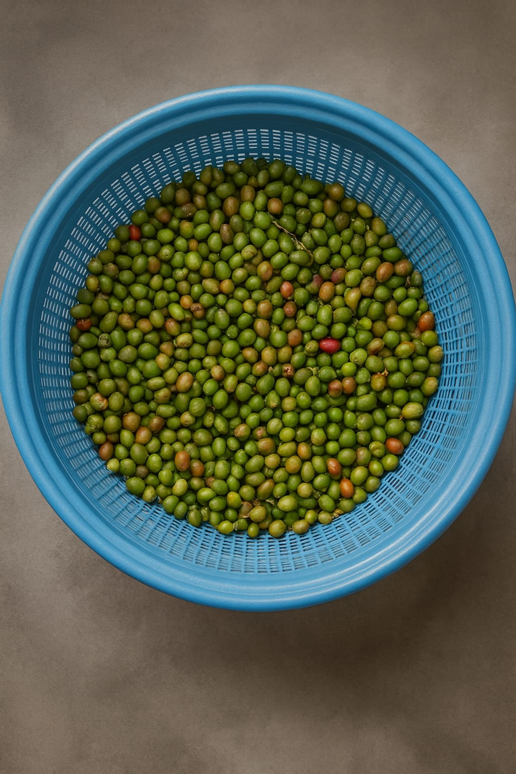 Cafe Cerezo 500gr